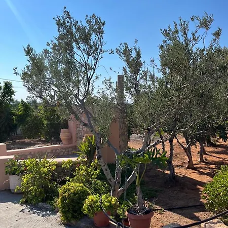 Harry's House Appartamento Elafonissos
