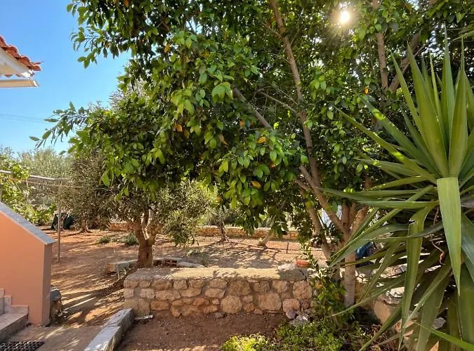 Harry's House * Elafonissos