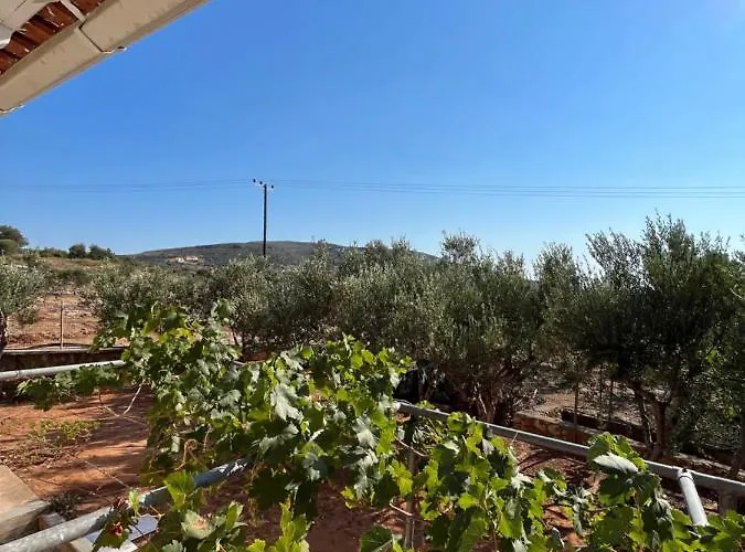 Appartement Harry's House Elafonissos