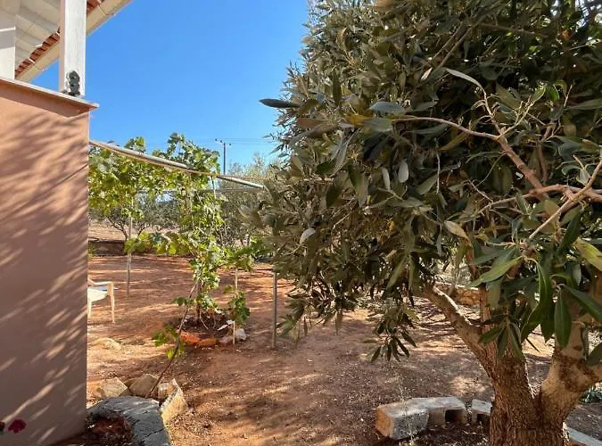 Appartement Harry's House